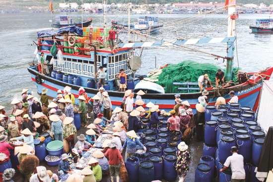 mua hải sản tươi sống tại Nha Trang